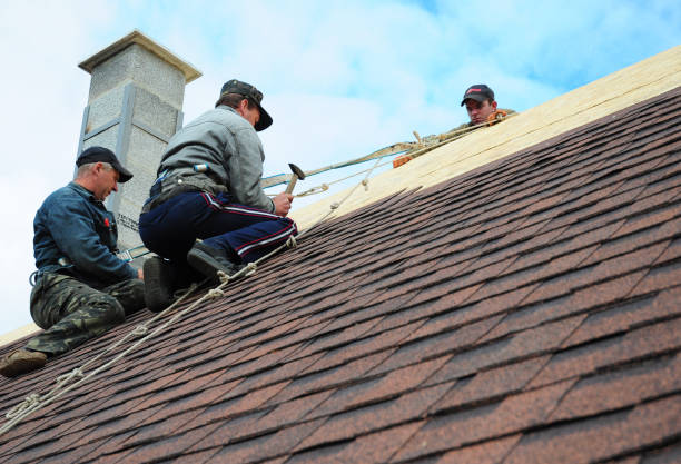 Best Storm Damage Roof Repair  in St Marys, WV